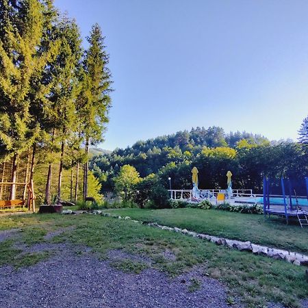 Cabana Cerbu Bozovici 外观 照片